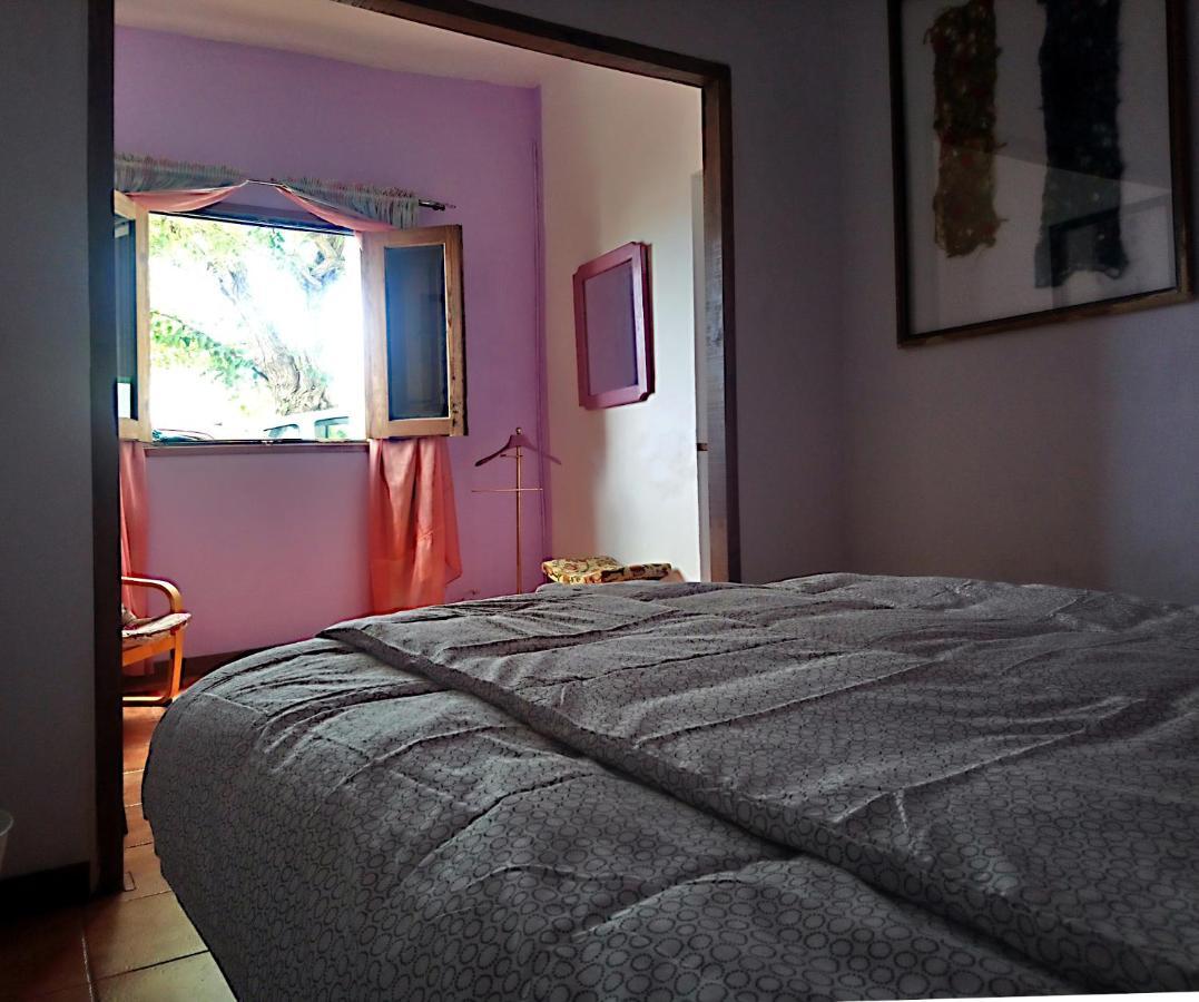 The Violet House Muy Cerca Del Aeropuerto Tenerife Norte Σαν Κριστόμπαλ ντε Λα Λαγούνα Εξωτερικό φωτογραφία